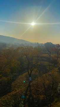 仰视山峰