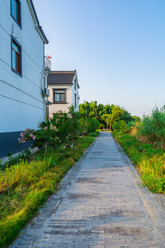 新农村村道