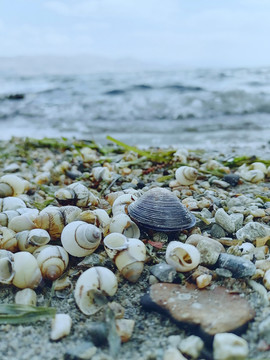 海滩