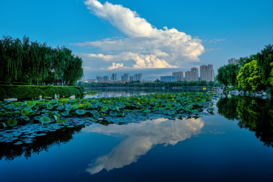 济宁南池公园