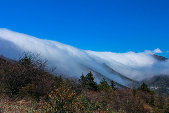 高山云海