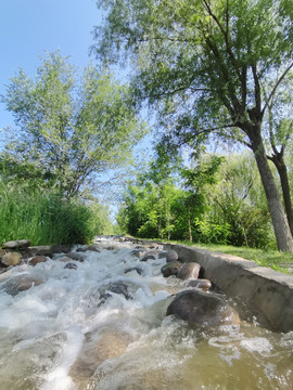 夏季小溪河流