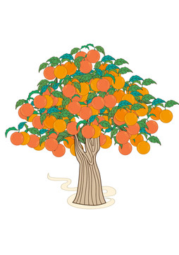 橙子树橘子树柑橘树