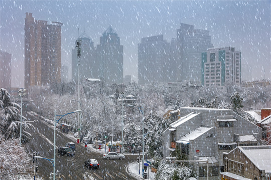 合肥市琥珀潭公園雪景