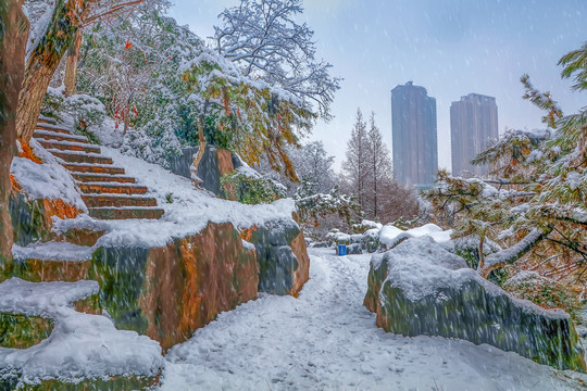 合肥市琥珀潭公园雪景