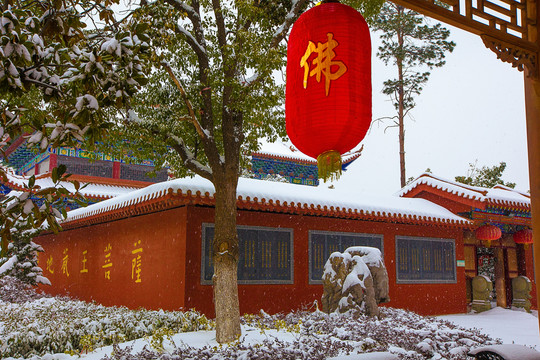 合肥开福寺地藏殿雪景