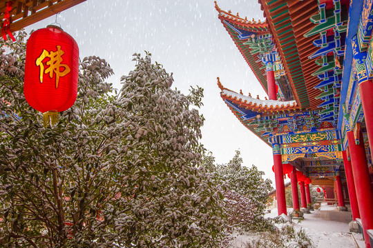 合肥开福寺雪景