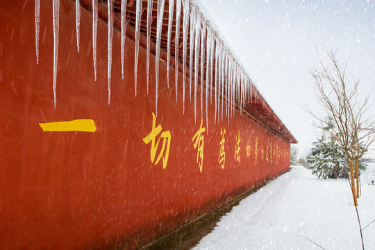 合肥开福寺雪景