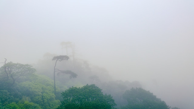 山川云雾