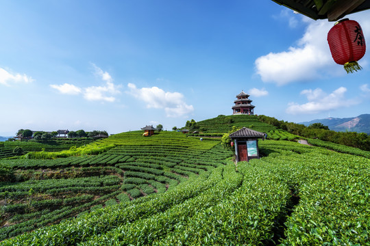 广西柳州三江布央仙人山