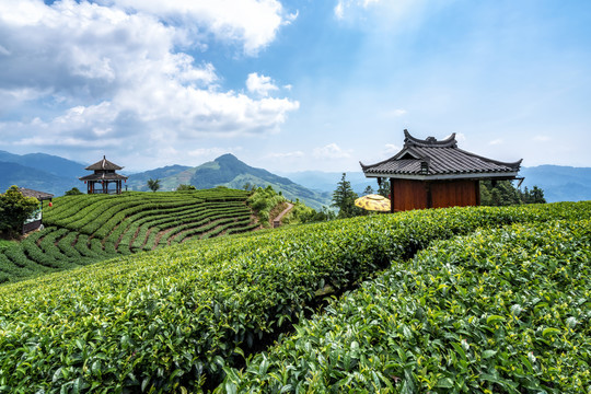 广西柳州三江布央仙人山生态