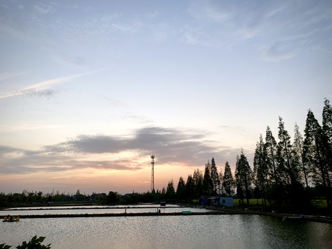 水田日出