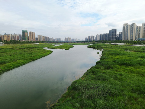 城市河流