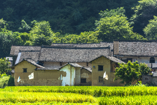 南方农村泥砖瓦房