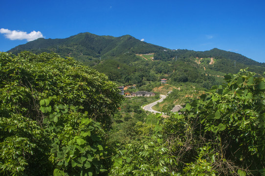 永春大鹏山山村风景