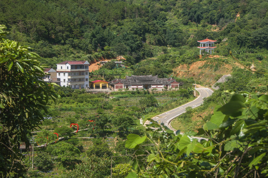 永春大羽村乡村风景