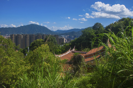 大羽村村子风景掠影