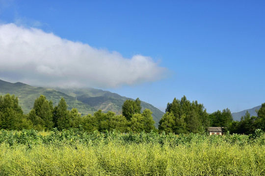 乡村风光