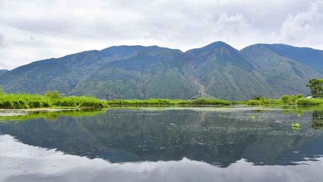 大理西湖国家湿地公园