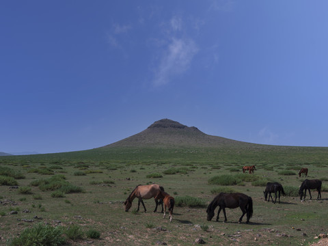 乌兰哈达火山草原