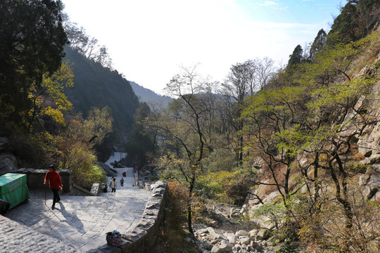 东岳泰山景观