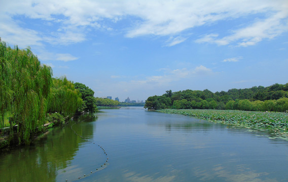 杭州西湖景观