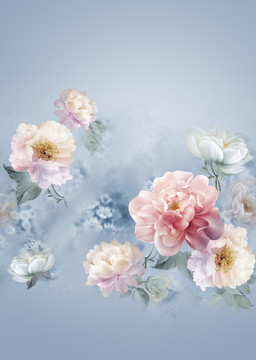 牡丹花卉