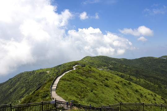 福建金铙山风光