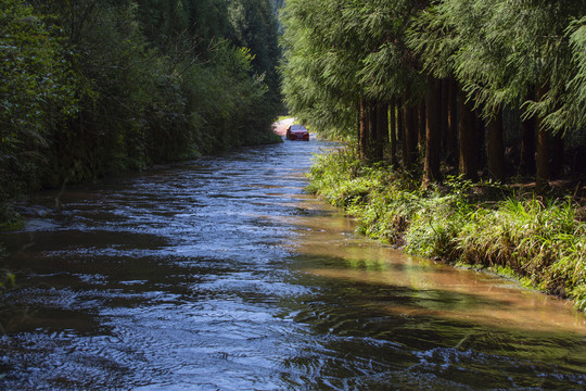 贵州习水县飞鸽林场水上公路