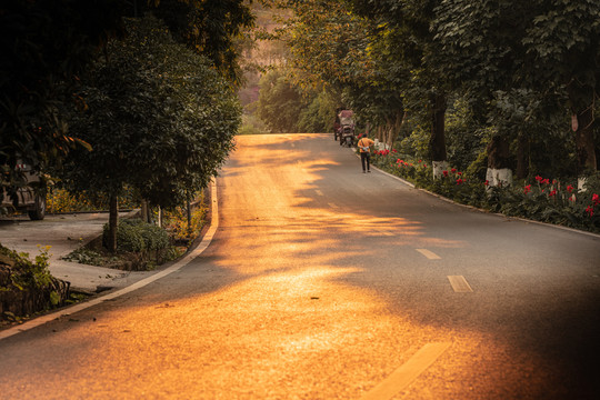 乡村公路风光