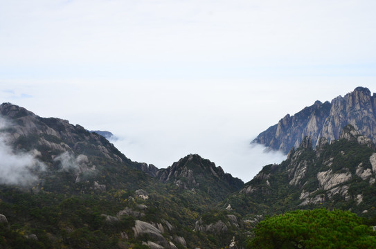 黄山云海