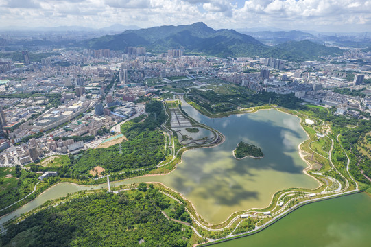 深圳石岩湖湿地公园