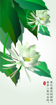 曇花