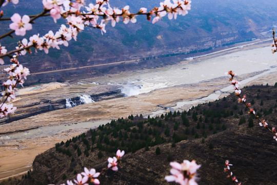 黄河壶口瀑布桃花汛