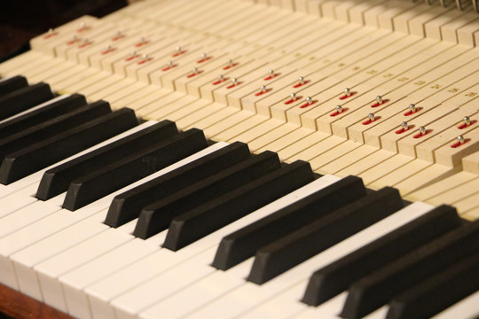 钢琴琴键键盘
