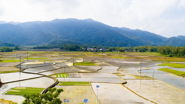 田园田野