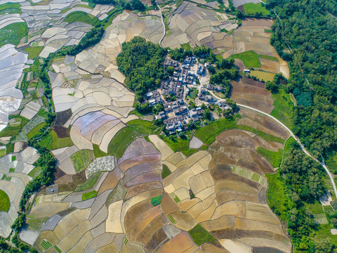 田园风光