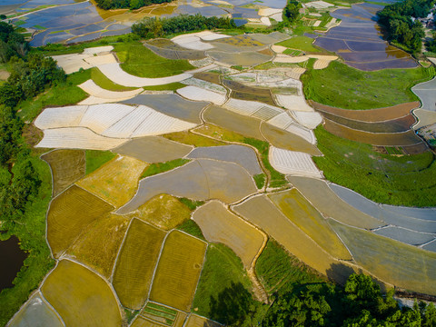 田园