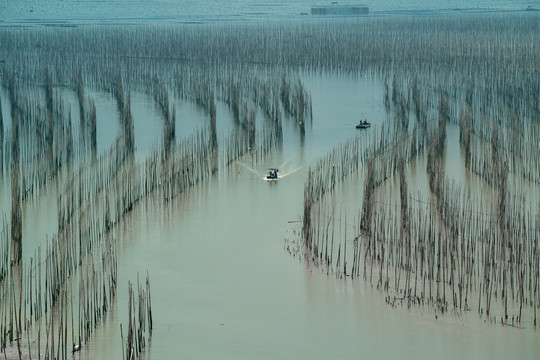 霞浦