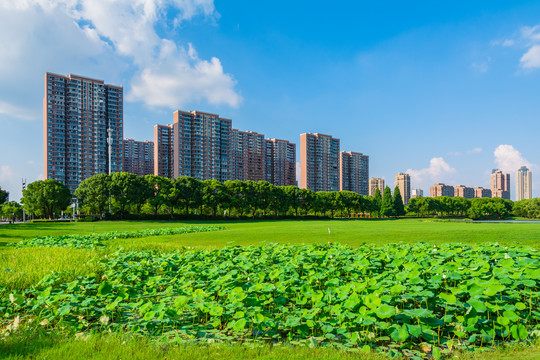 城市绿地