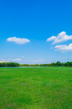 蓝天白云草地