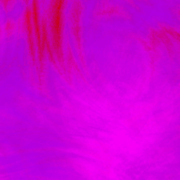 墻紙花紋貼圖
