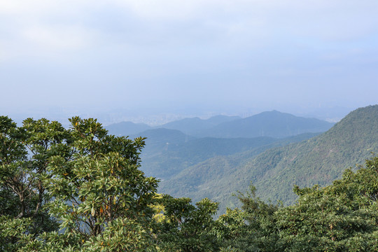 深圳梧桐山景观