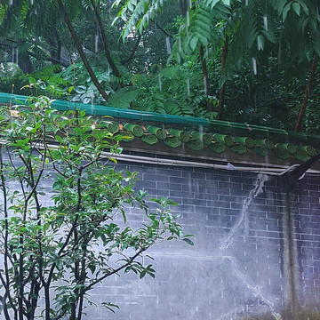 烟雨