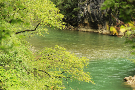 河水