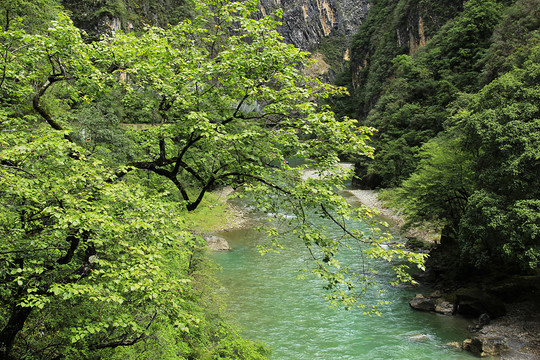 河流