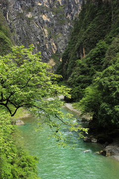 河水