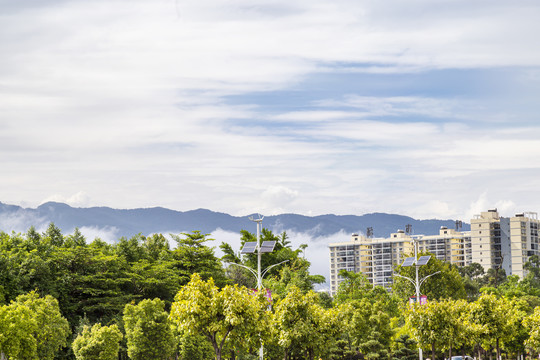 森林城市