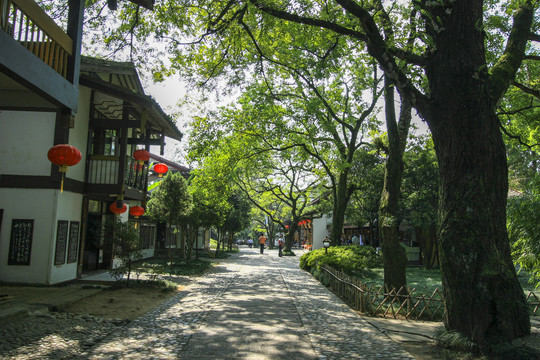 福建武夷山宋街