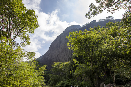 福建武夷山水风光